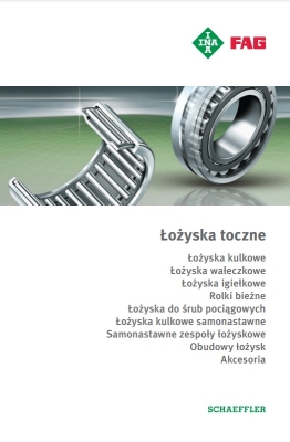 INA FAG Roller bearings and accessories