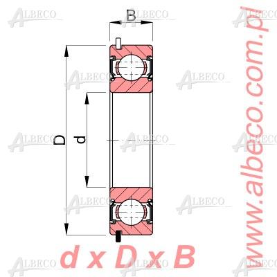 6304-2RSR-NR