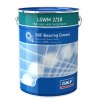 LGWM 2/18 SKF