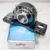 UCP206+ EFG