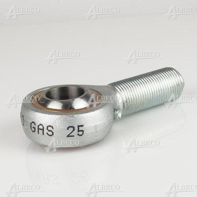 GAS 25