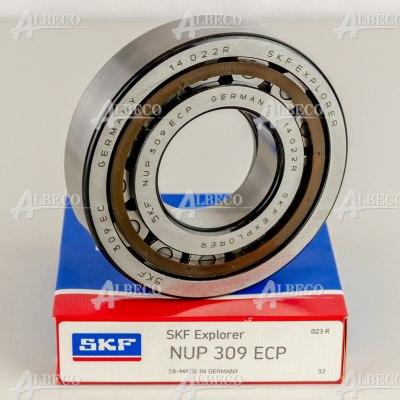 NUP 309 ECP