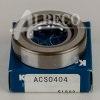 ACS 0404