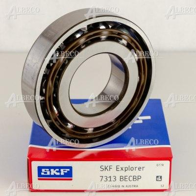 7313 BECBP