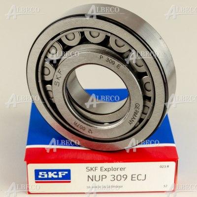 NUP 309 ECJ
