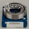 ACS 0404