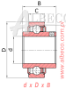 WIR210-31