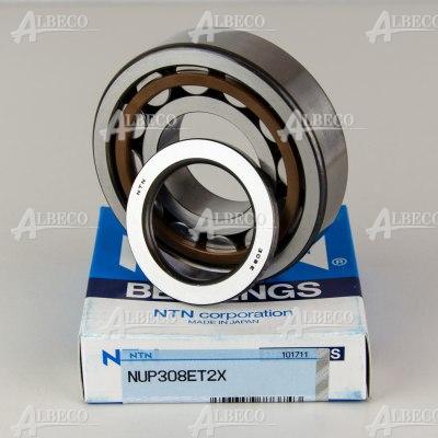 NUP308ET2X