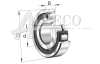 20210-K-TVP-C3