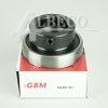 SA207D1 GBM