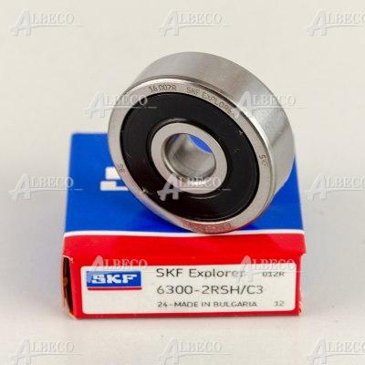 6300-2RSH/C3