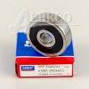 6300-2RSH/C3