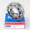 6207 SKF